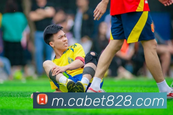 ca亚洲城APP 封面图
